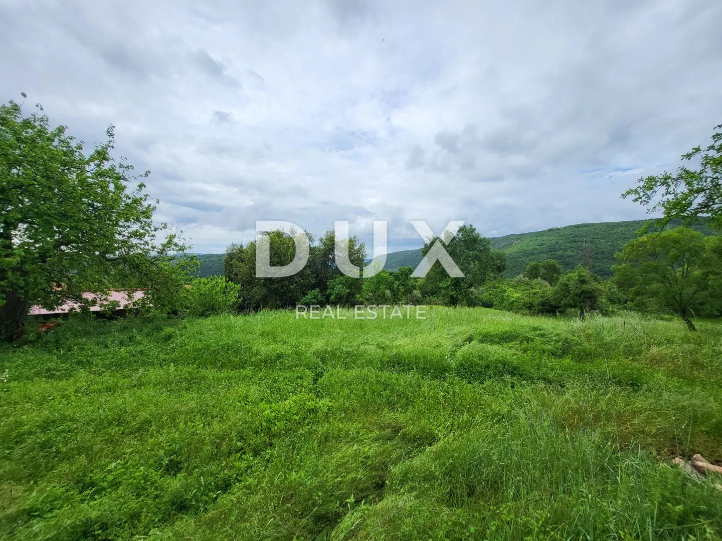 istra, buzet - poljoprivredna zemljišta - slika 2