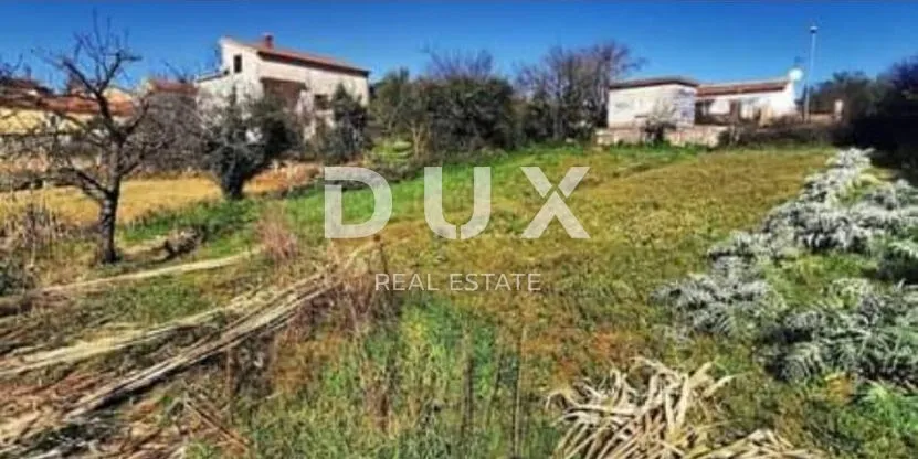 istra, pula građevinsko zemljište na velom vrhu 2900 m2 - slika 3