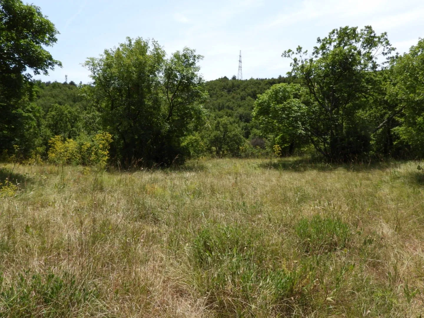 kukuljanovo industrijska zona - građevinski teren 4570m2 za halu / poslovnu zgradu - slika 4