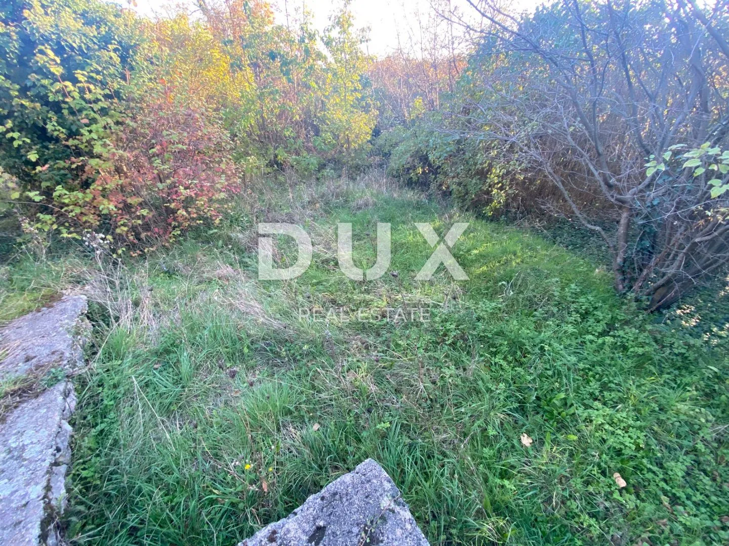 rijeka, drenova - samostojeća kuća + dvije dvorišne zgrade + dvorište! prilika! - slika 10