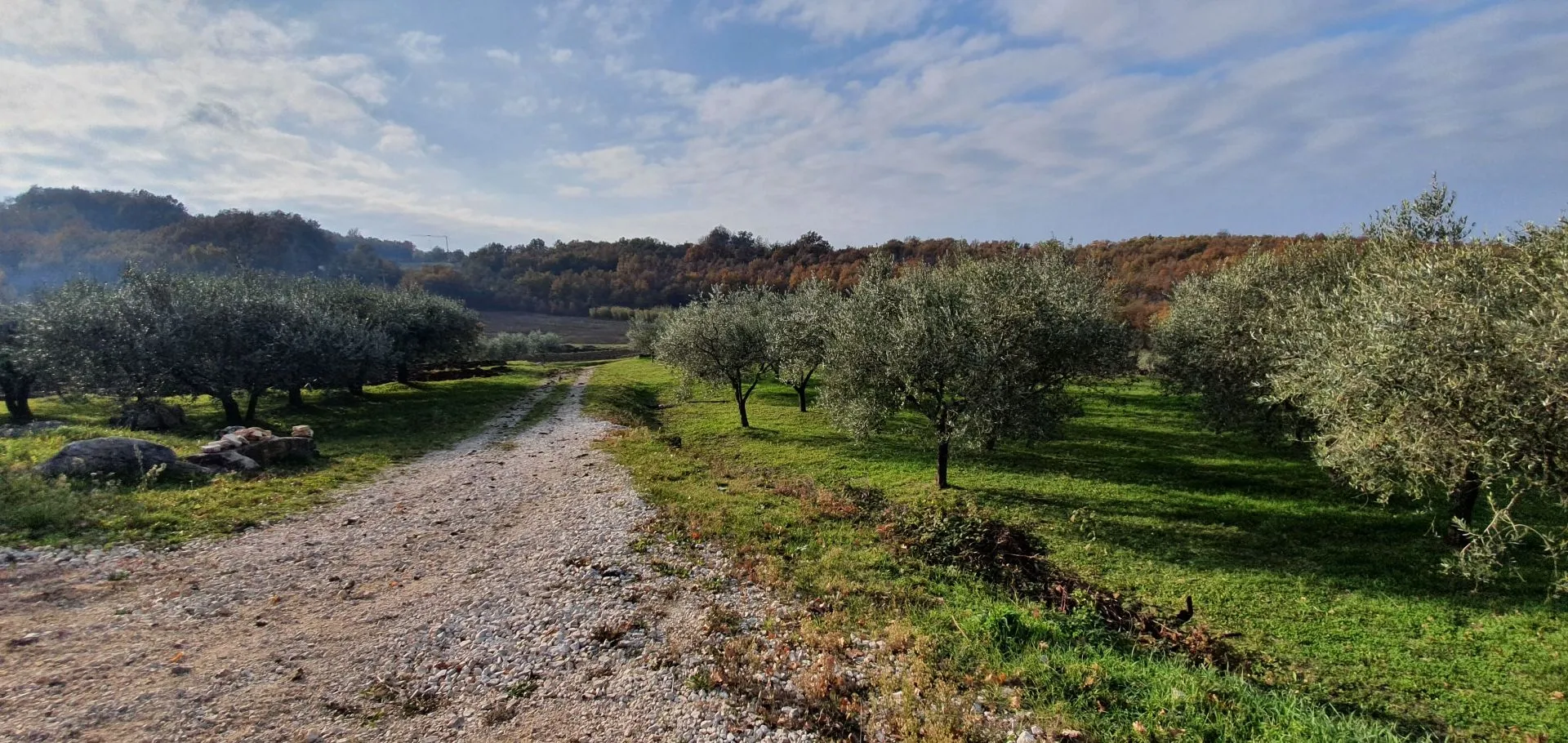 istra, vižinada - prostrano građevinsko zemljište na osami s panoramskim pogledom - slika 38