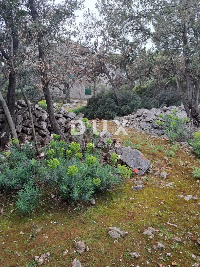 mali lošinj, punta križa - poljoprivredno zemljište - slika 3