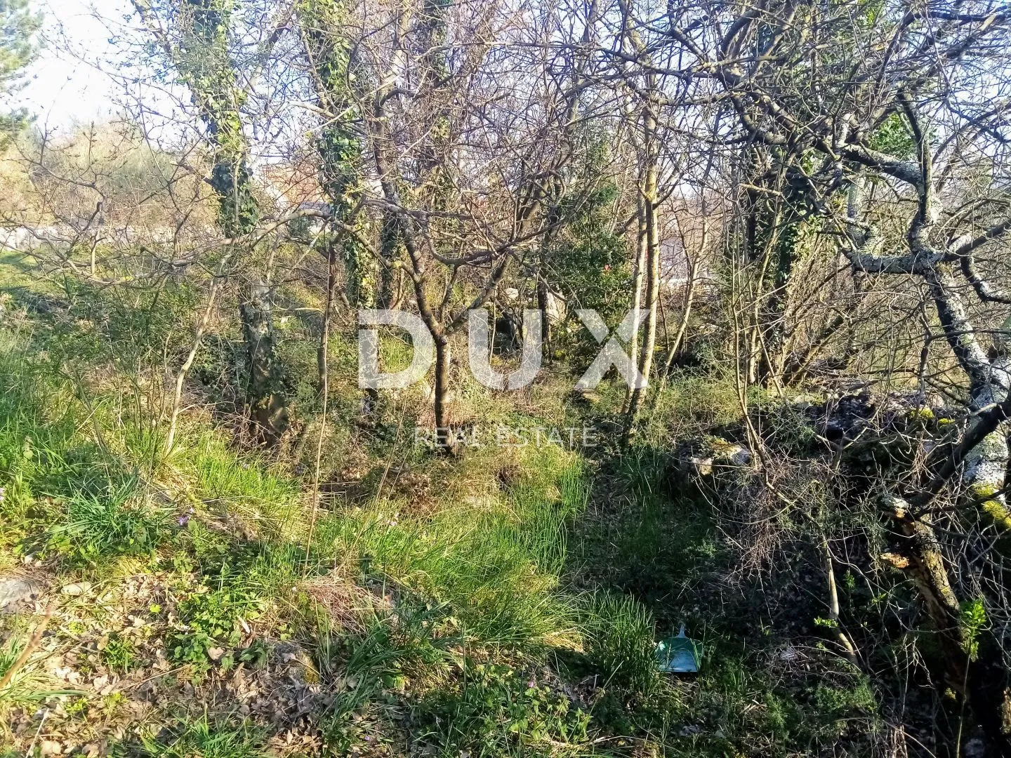 istra, labin - ruševina od 74 m2 s 2046 m2 građevinskog zemljišta - slika 5