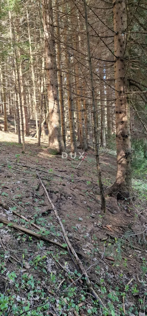delnice, ravna gora - zemljišta ukupne površine 13400 m2 - slika 9