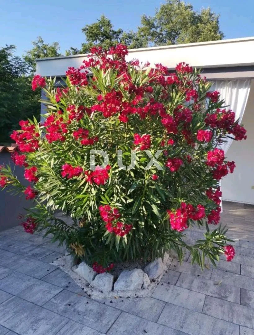 istra, labin - obiteljsko imanje kuća + dva apartmana sa bazenom! - slika 5