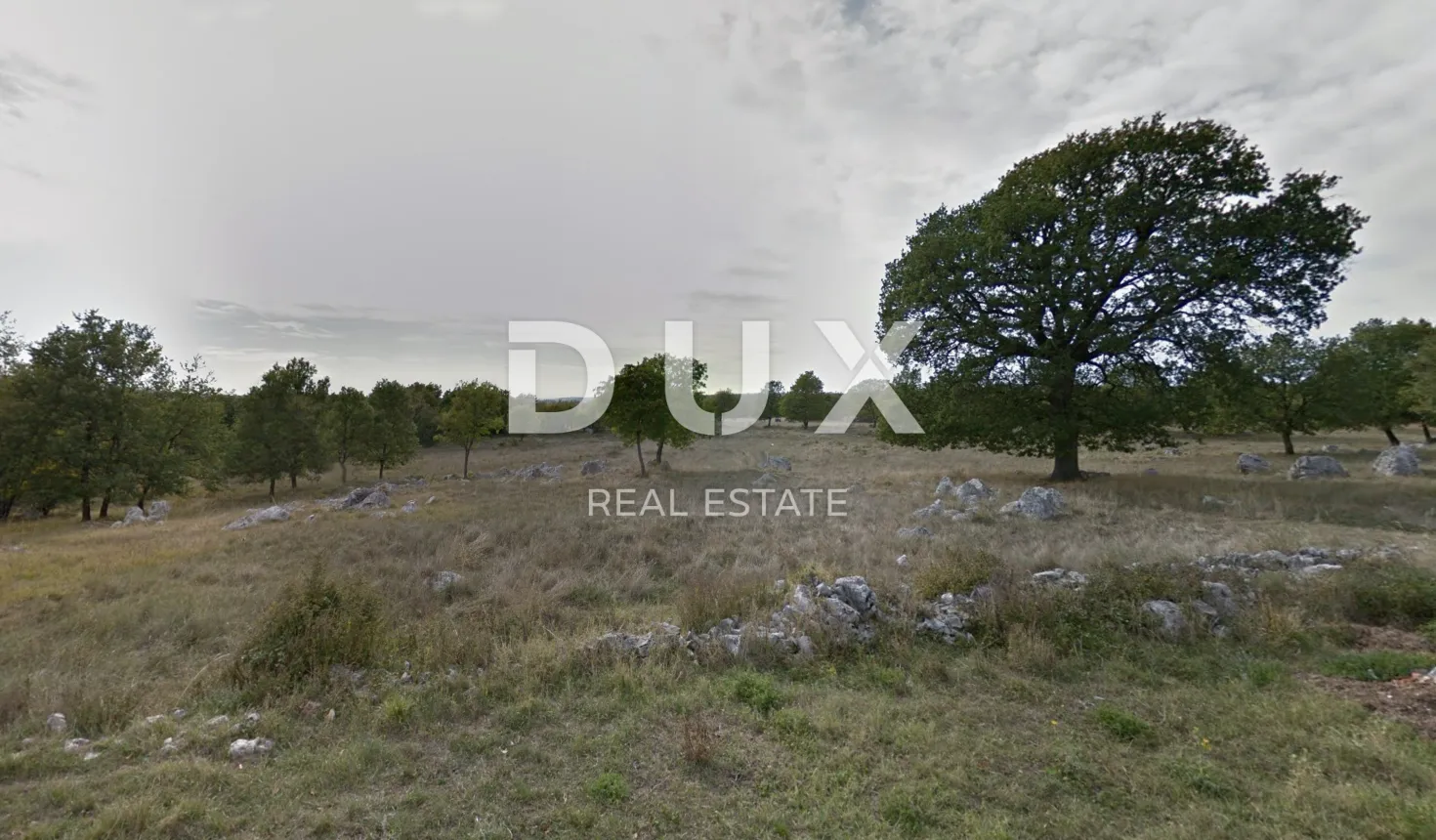 istra, labin - kamena kuća sa okućnicom od 1,1ha - slika 14