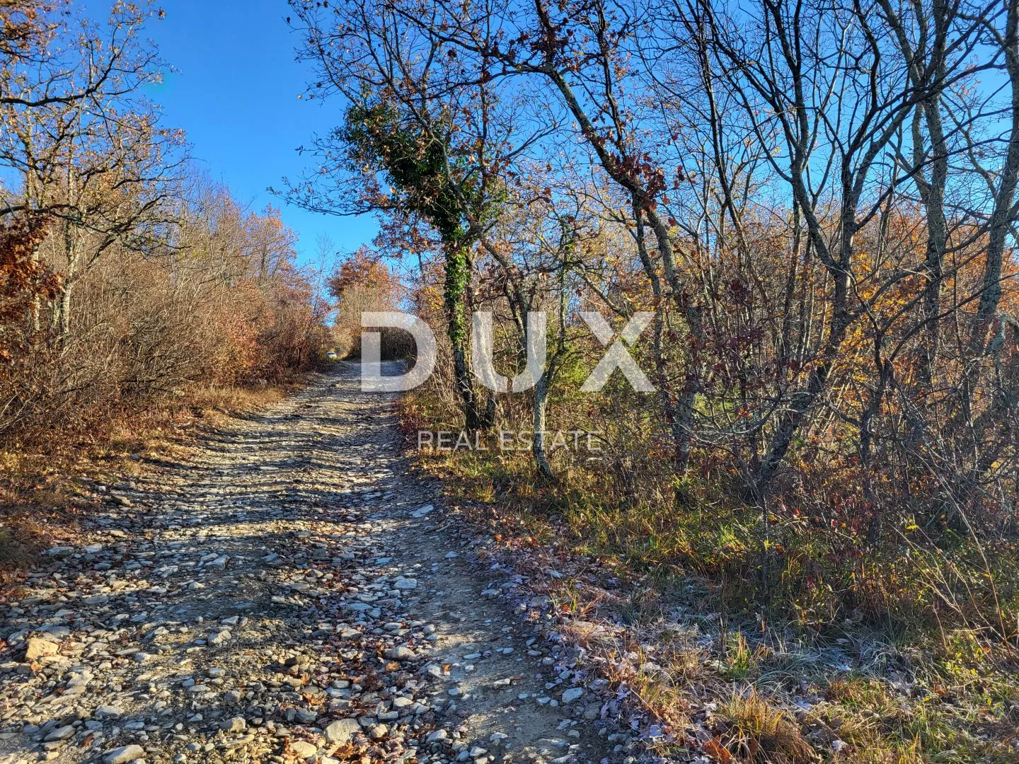 istra, buzet - poljoprivredno zemljište 3012 m2 - slika 5