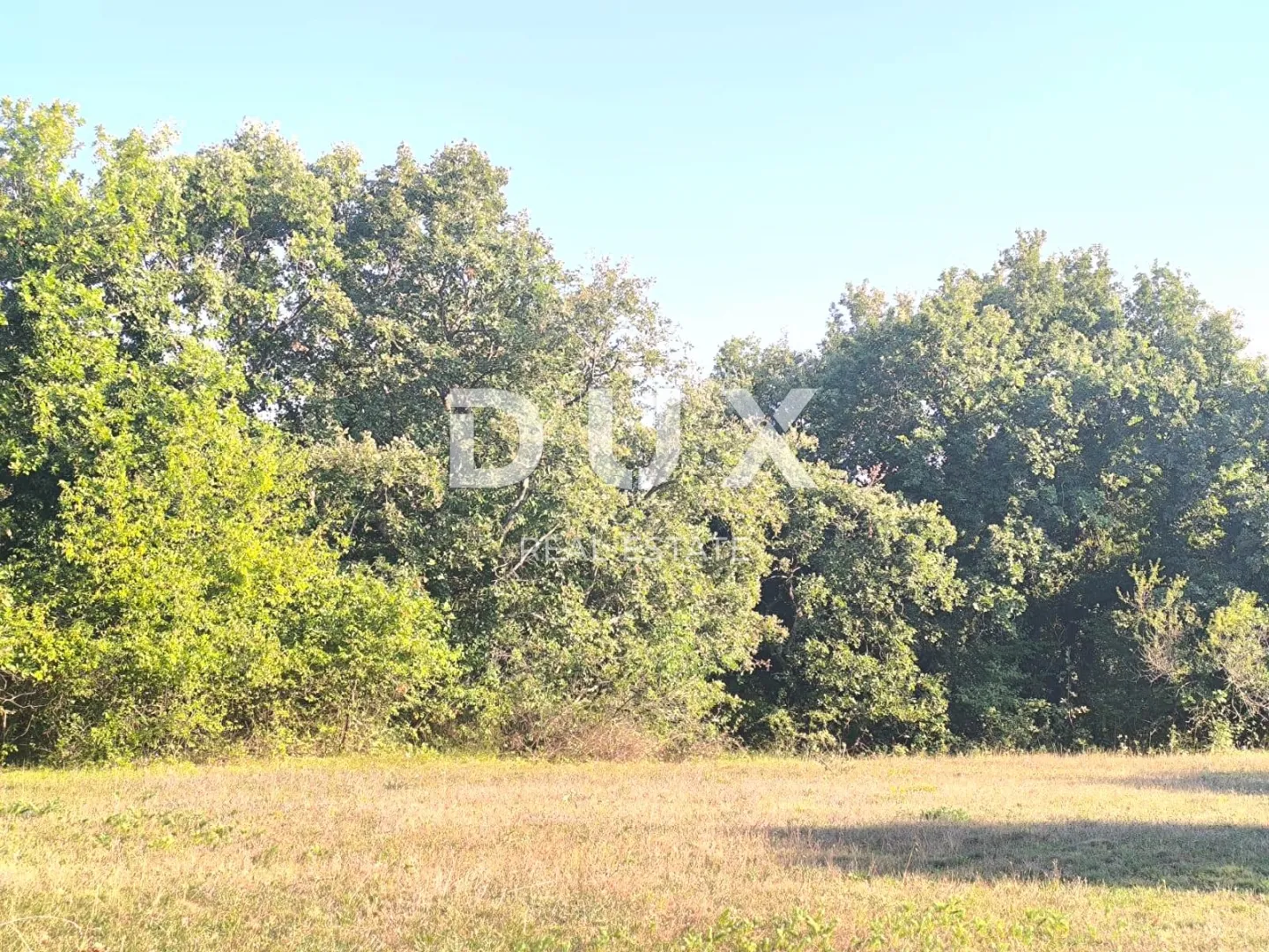 istra, svetvinčenat poljoprivredno zemljište za maslinik - slika 2