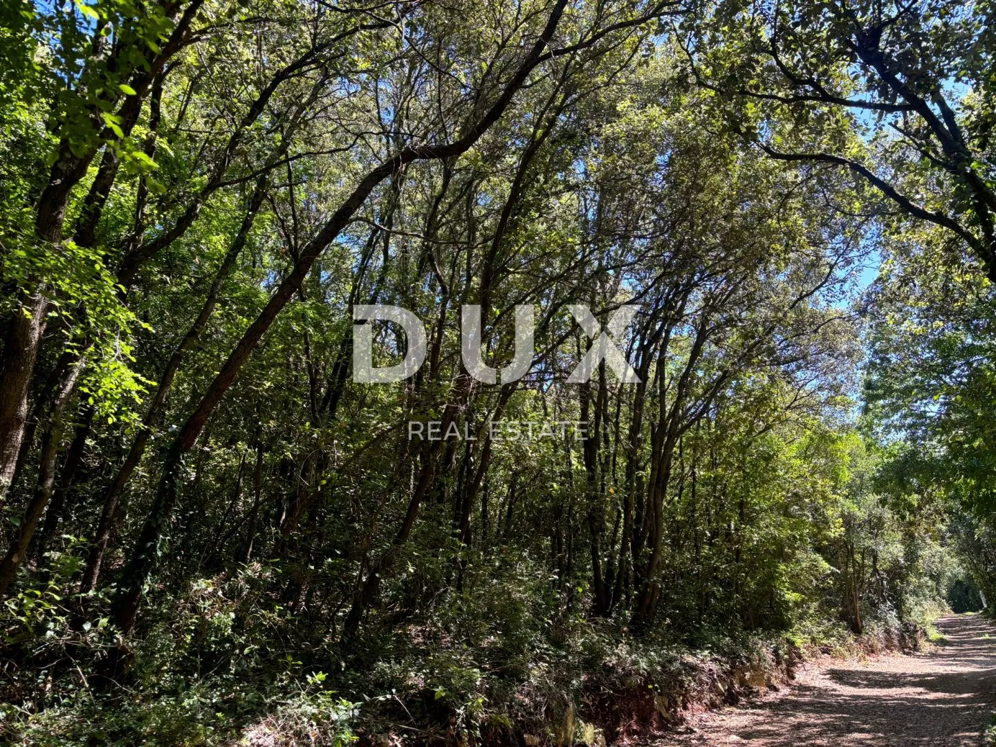 istra, duga uvala poljoprivredno zemljište 300 metara od plaže! - slika 6