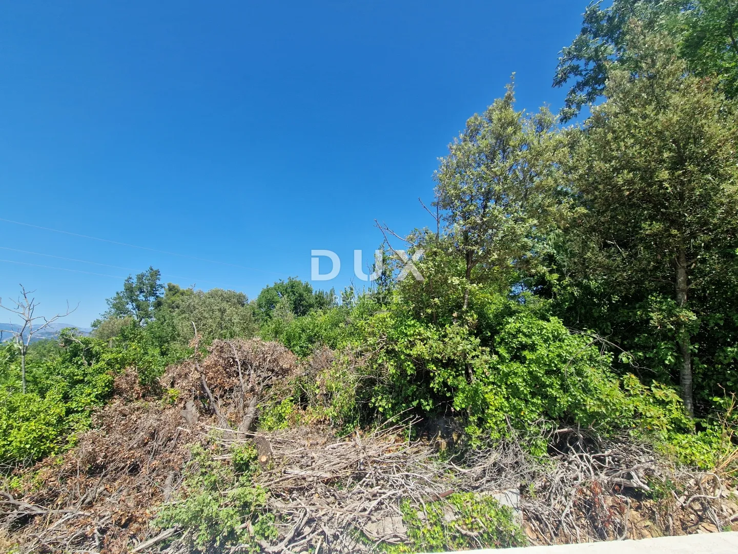 pelješac, popova luka, poljoprivredno zemljište 190.000m² - slika 7