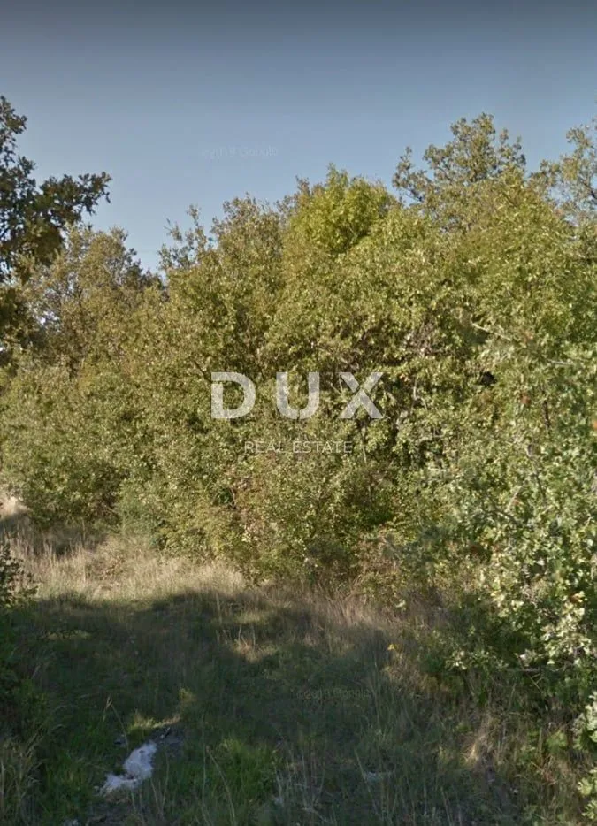 ISTRA, SVETI LOVREČ - Poljoprivredno zemljište - Sveti Lovreč Pazenatički