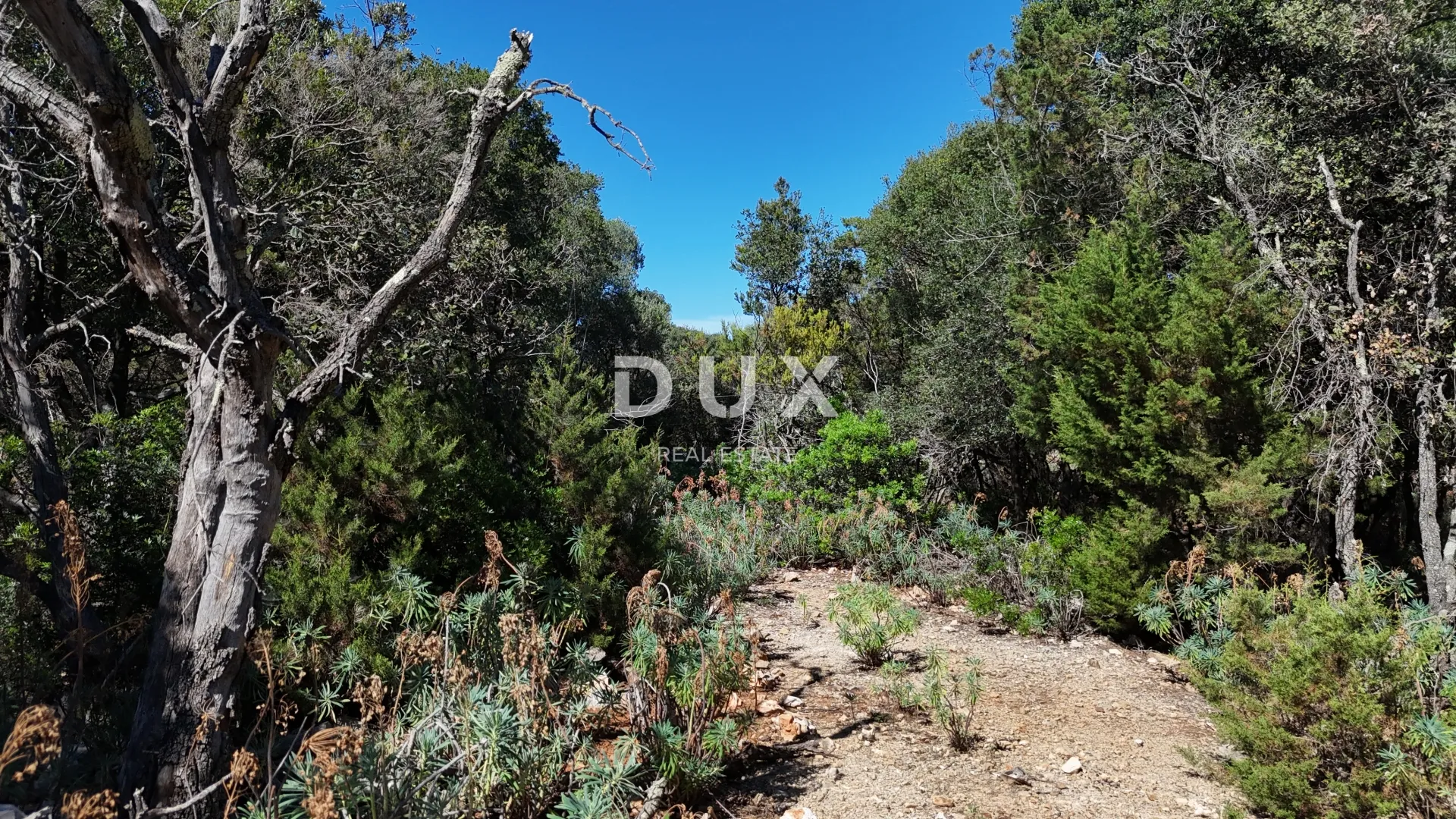 cres, punta križa, poljoprivredno zemljište, 58500 m2 - slika 6