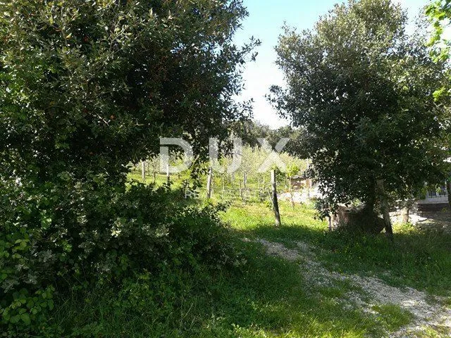 istra, duga luka- ruševina udaljena 300m od mora - slika 5