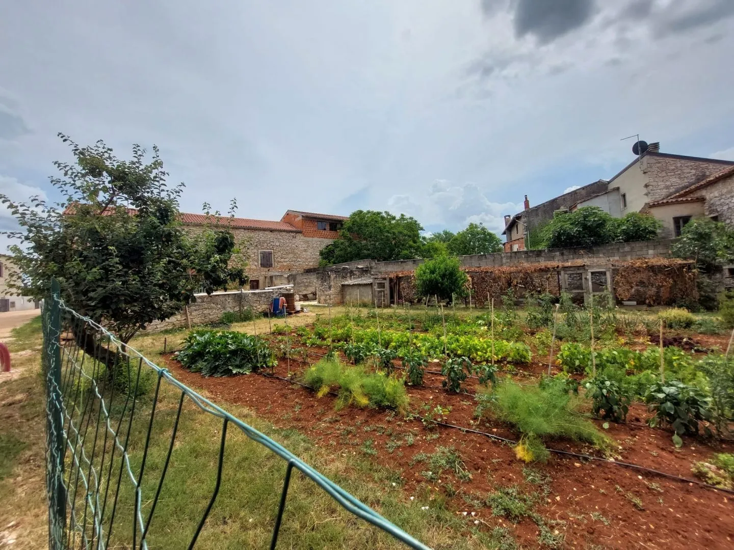 istra, brtonigla - kamena kuća s velikom okućnicom - slika 7