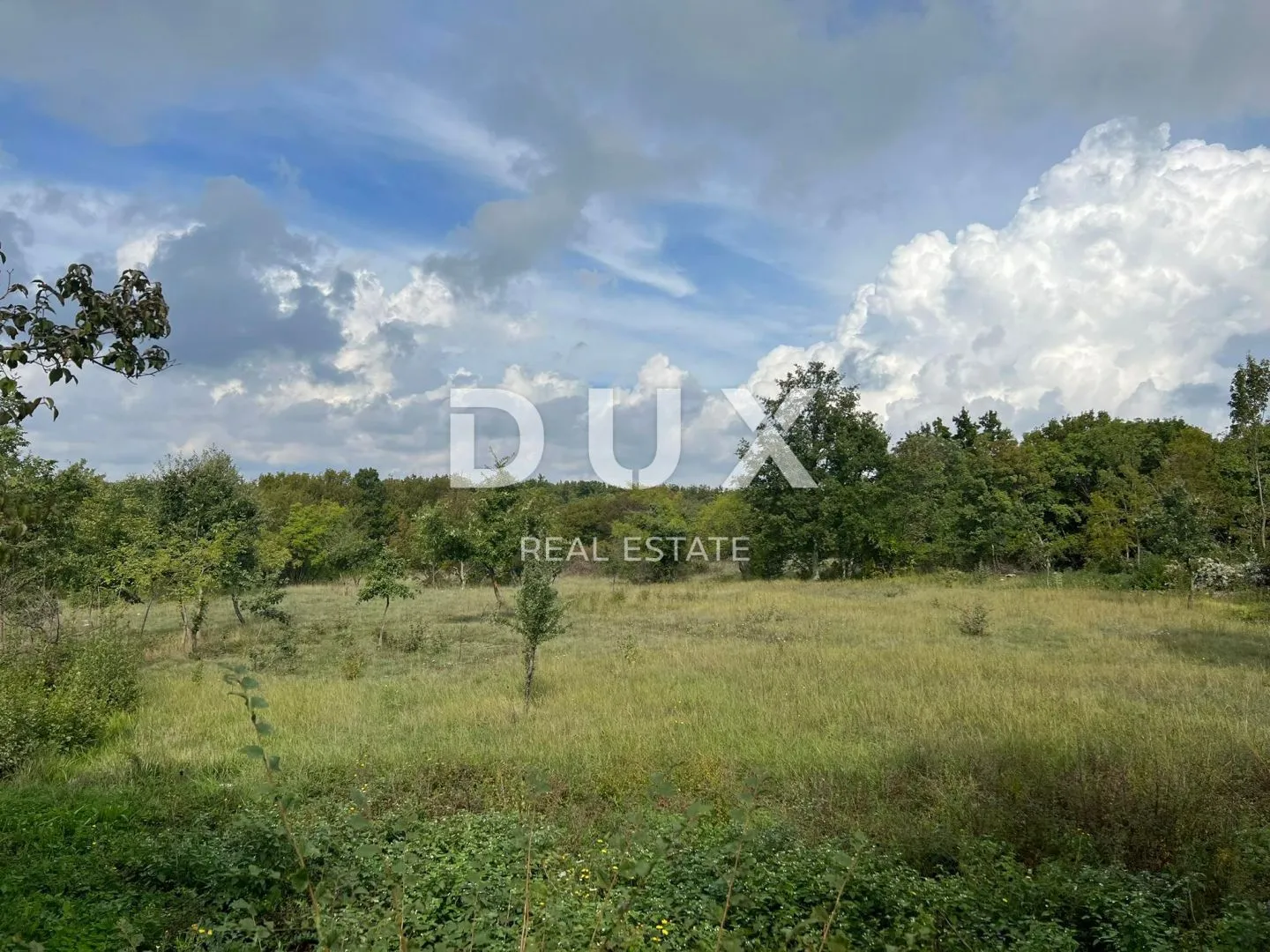 istra,barban - imanje s dva objekta za renovaciju - slika 2