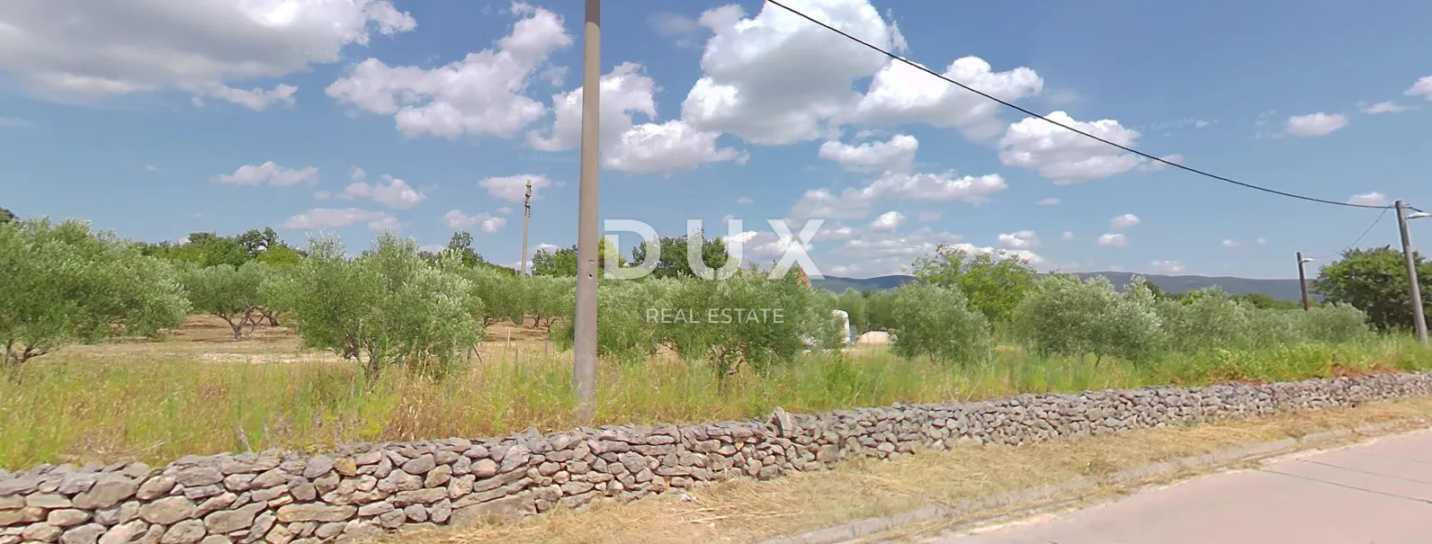 ZADAR, PRIDRAGA - PRILIKA! Maslinik na građevinskom terenu - Pridraga, Novigrad