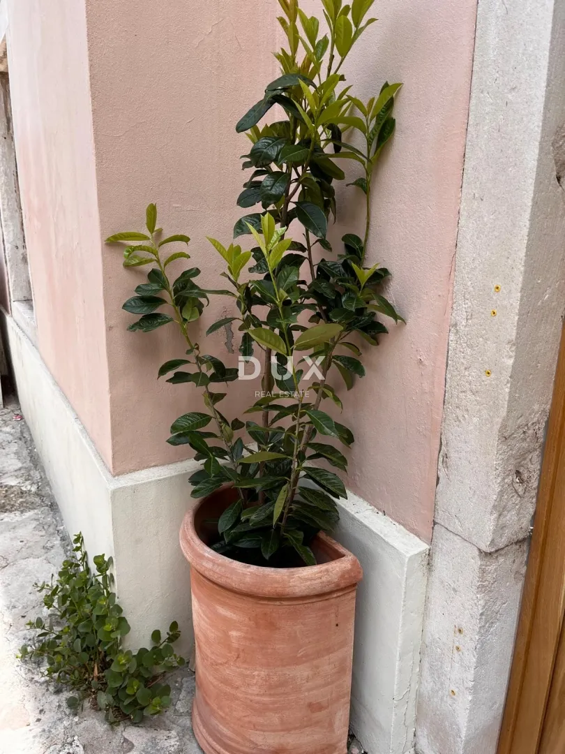 šibenik, centar, vrhunski uhodani restaurant, prvi red do mora. - slika 26