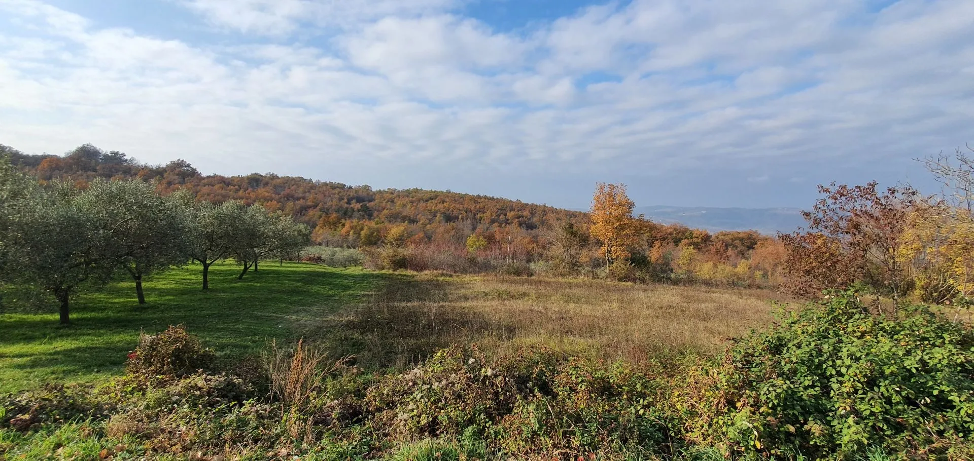 istra, vižinada - prostrano građevinsko zemljište na osami s panoramskim pogledom - slika 40