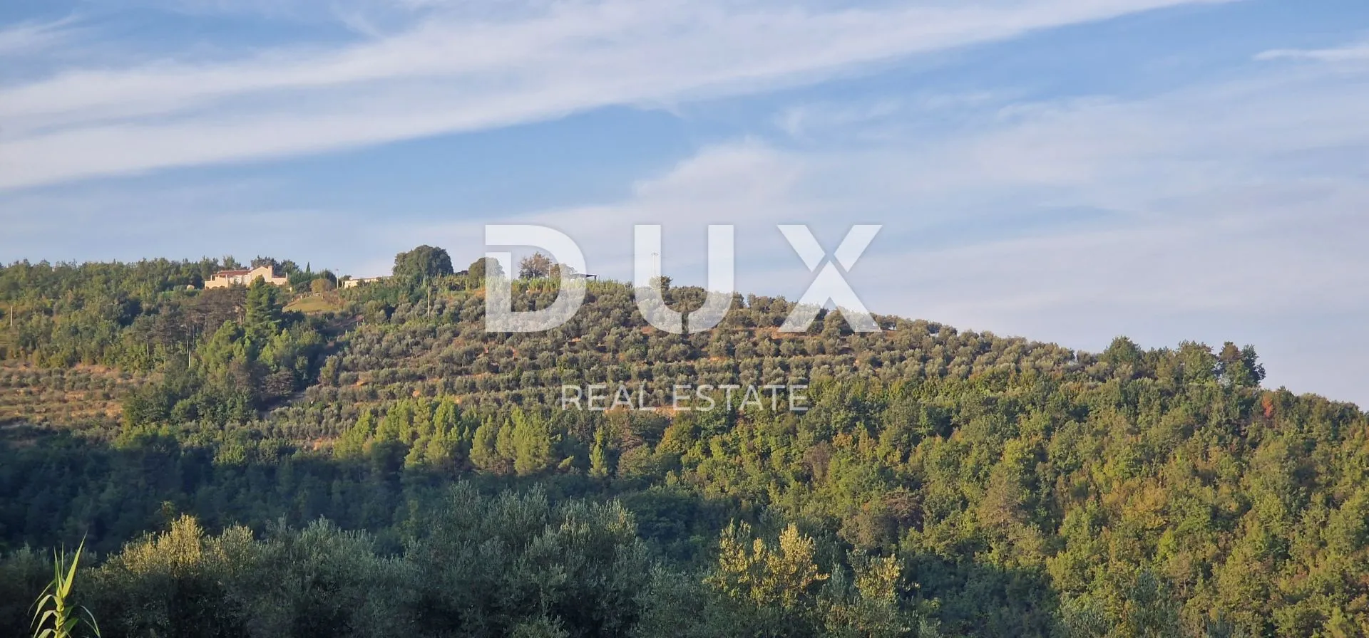 istra, motovun, imanje, 170.416 m2 - slika 57