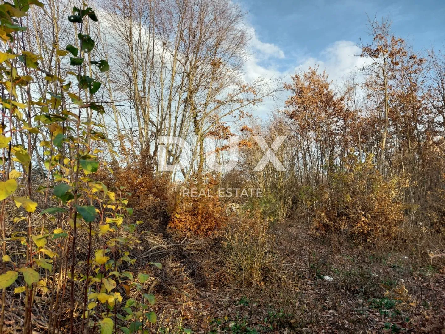istra, kanfanar - građevinsko zemljište od 3133 m2 - slika 3