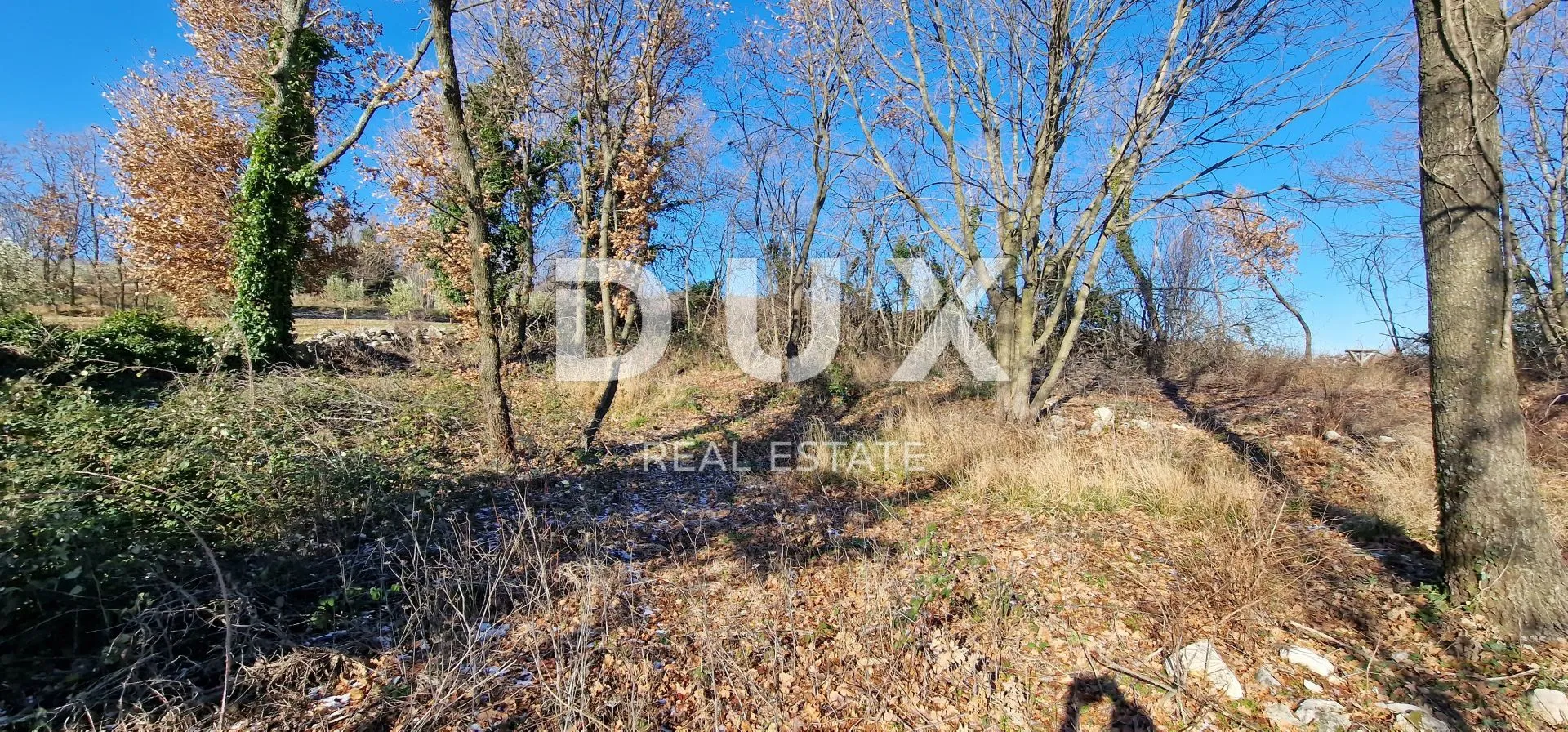 istra, labin, pićan - potpuna osama i prekrasan pogled!! građevinsko zemljište 750m2 i poljoprivredno 692 m2 - slika 30