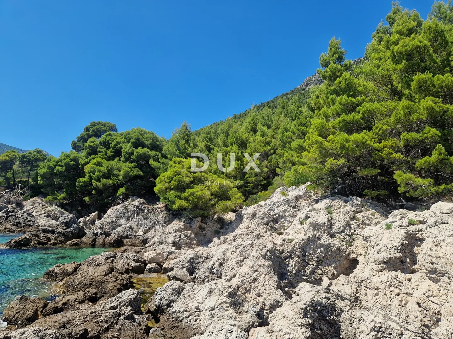 pelješac, popova luka, poljoprivredno zemljište 190.000m² - slika 3