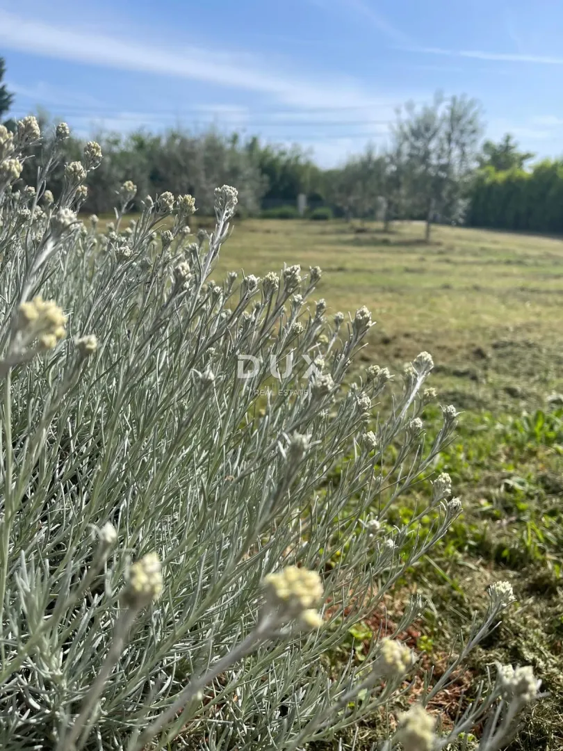 istra, loborika - građevinska zemljišta s puno potencijala - slika 1