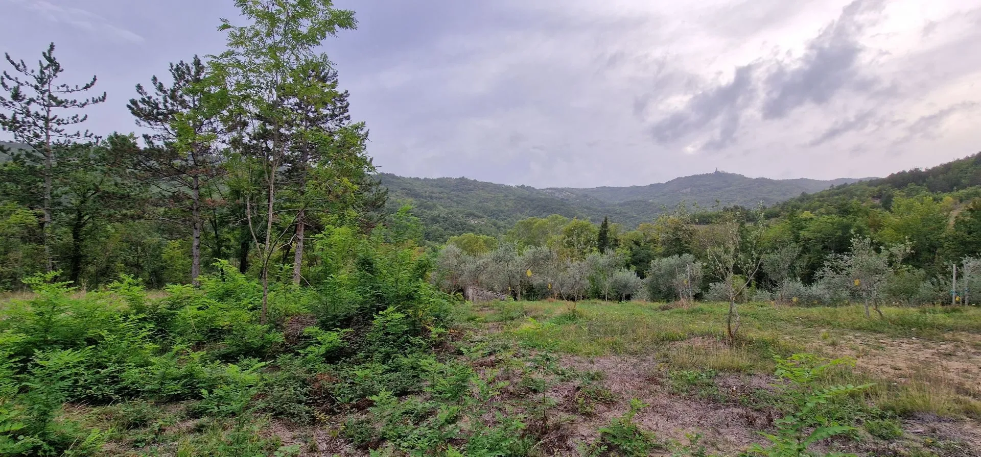 istra, gračišće - kameni objekti s prostranim zemljištem na osami - slika 18
