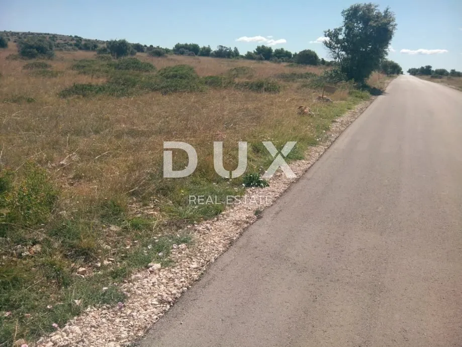 otok vir - poljoprivredno zemljište s pogledom na more - slika 2