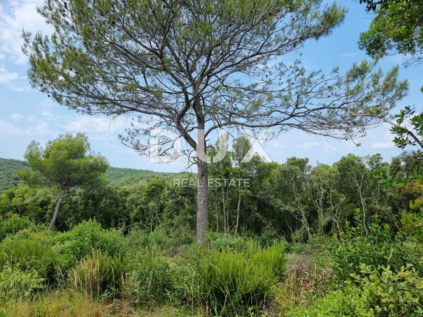 istra, marčana - prostrano zemljište turističke namjene - slika 11
