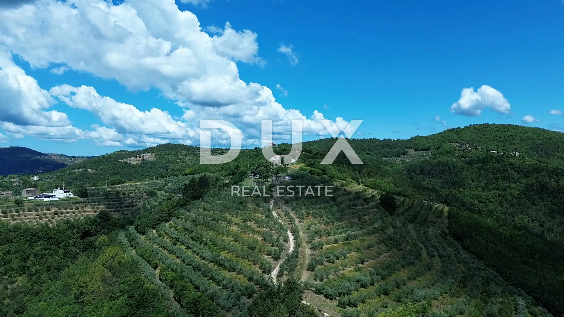 istra, motovun, imanje, 170.416 m2 - slika 2