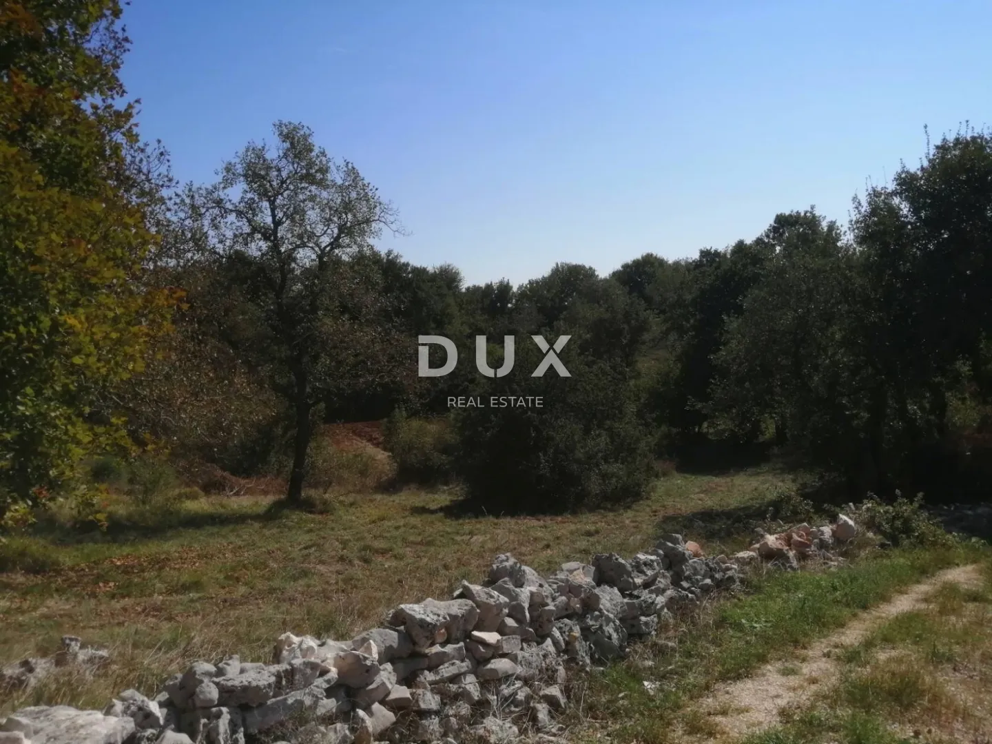 istra, bale - idealno građevinsko zemljište 518m² - slika 2