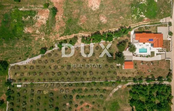 istra, vodnjan - predivna luksuzna vila s maslinikom - slika 3