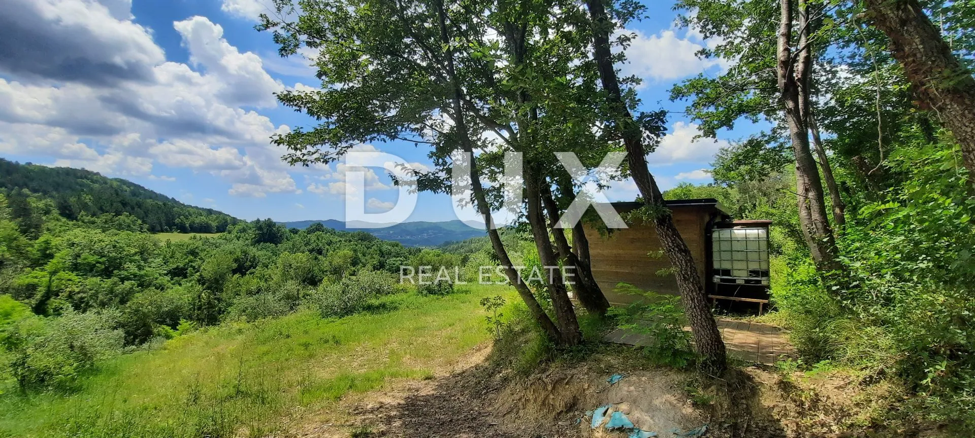 istra, cerovlje, grimalda – maslinik među brežuljcima, 280 stabala na 2,4 ha - slika 13
