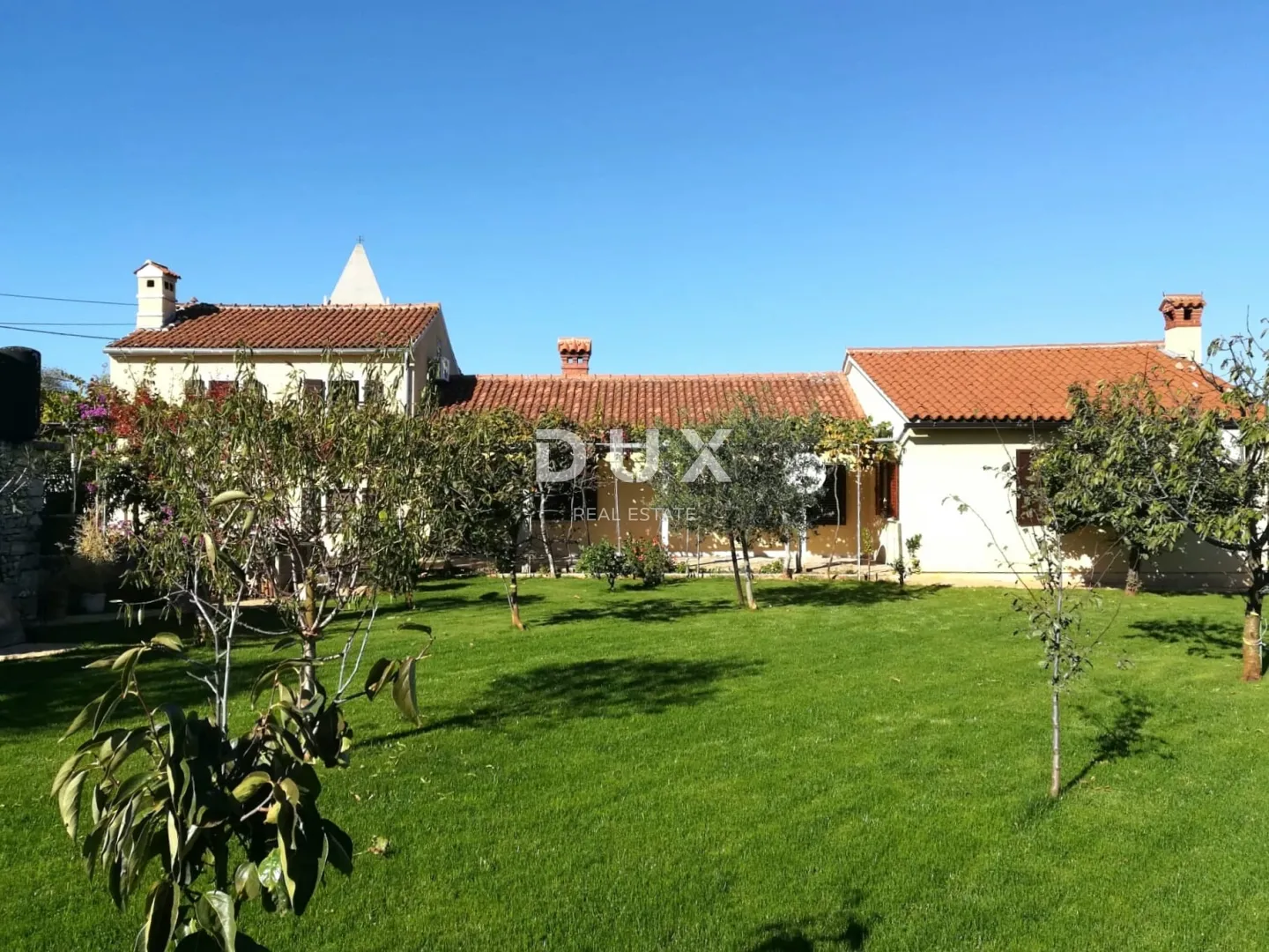 istra, kavran, kuća, 155 m2, 2 stambene jedinice, 1243 m2 dvorište - slika 4