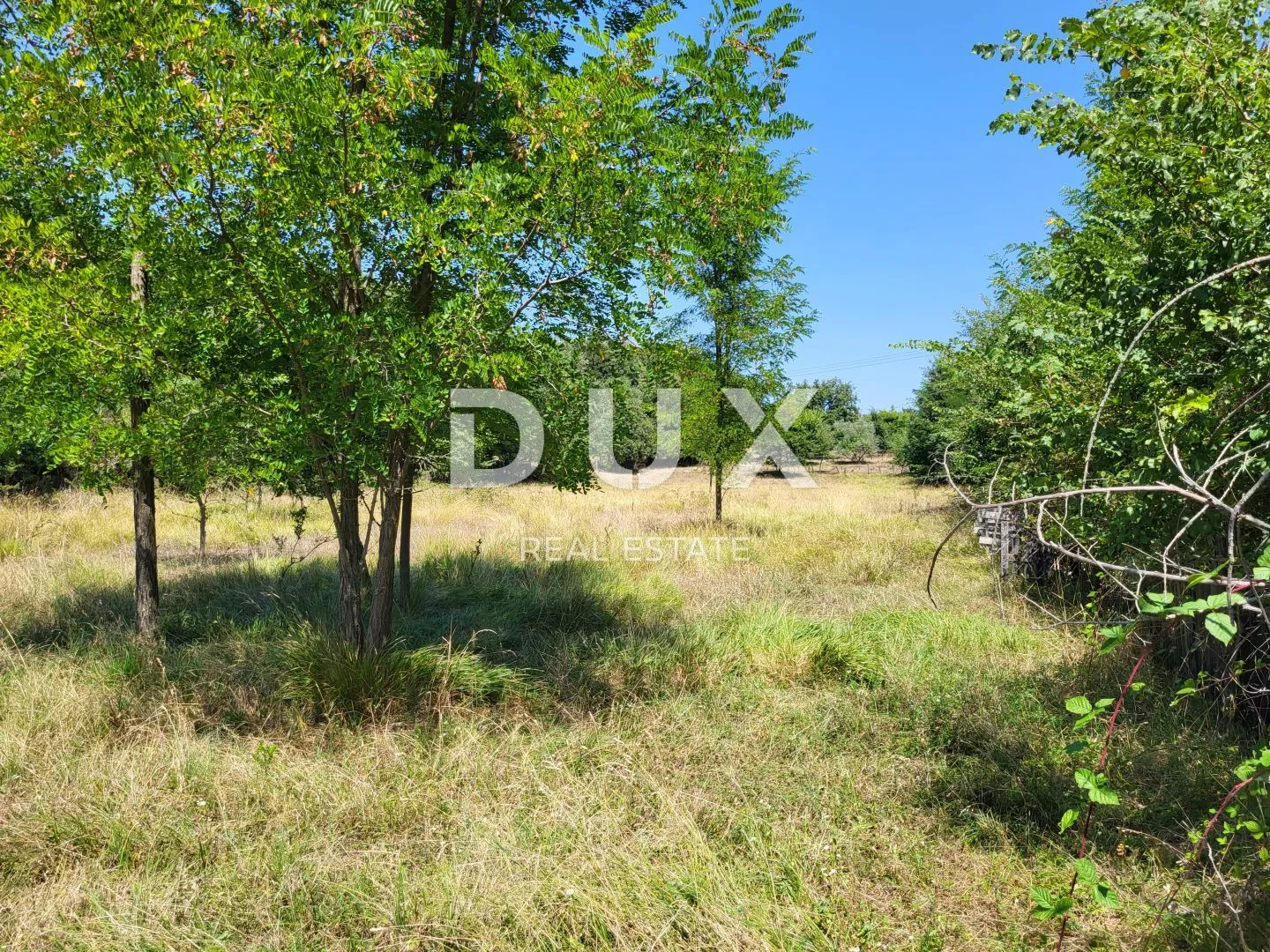 istra, brtonigla - prostrano poljoprivredno zemljište - slika 7