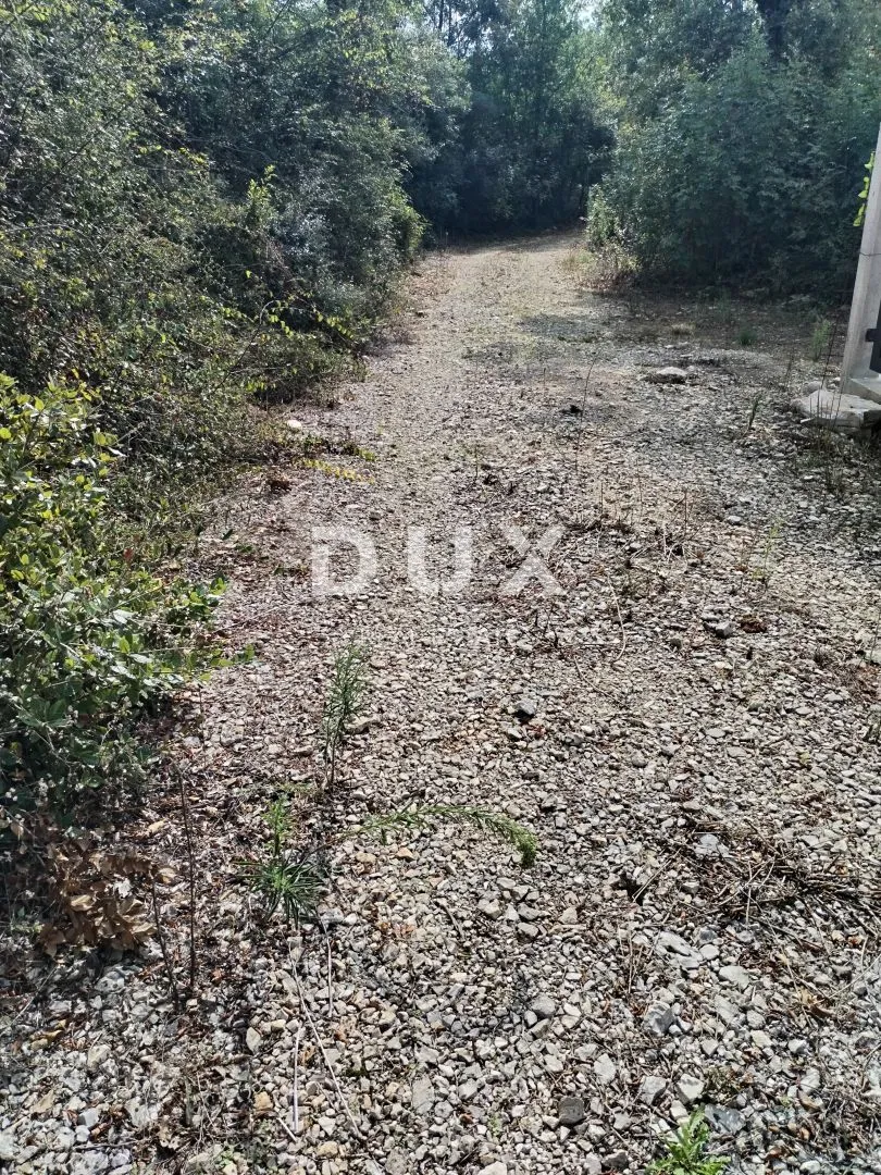 istra, peroj - poljoprivredno zemljište 3346 m2 blizu mora! - slika 4