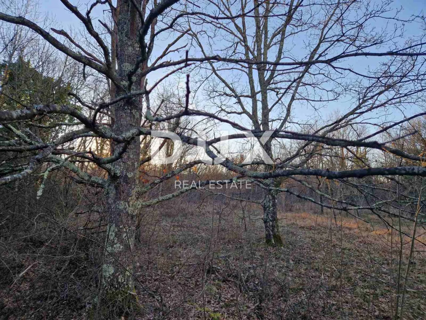 istra, labin - hrastova šuma za siječu 21.304m2, prilika - slika 7