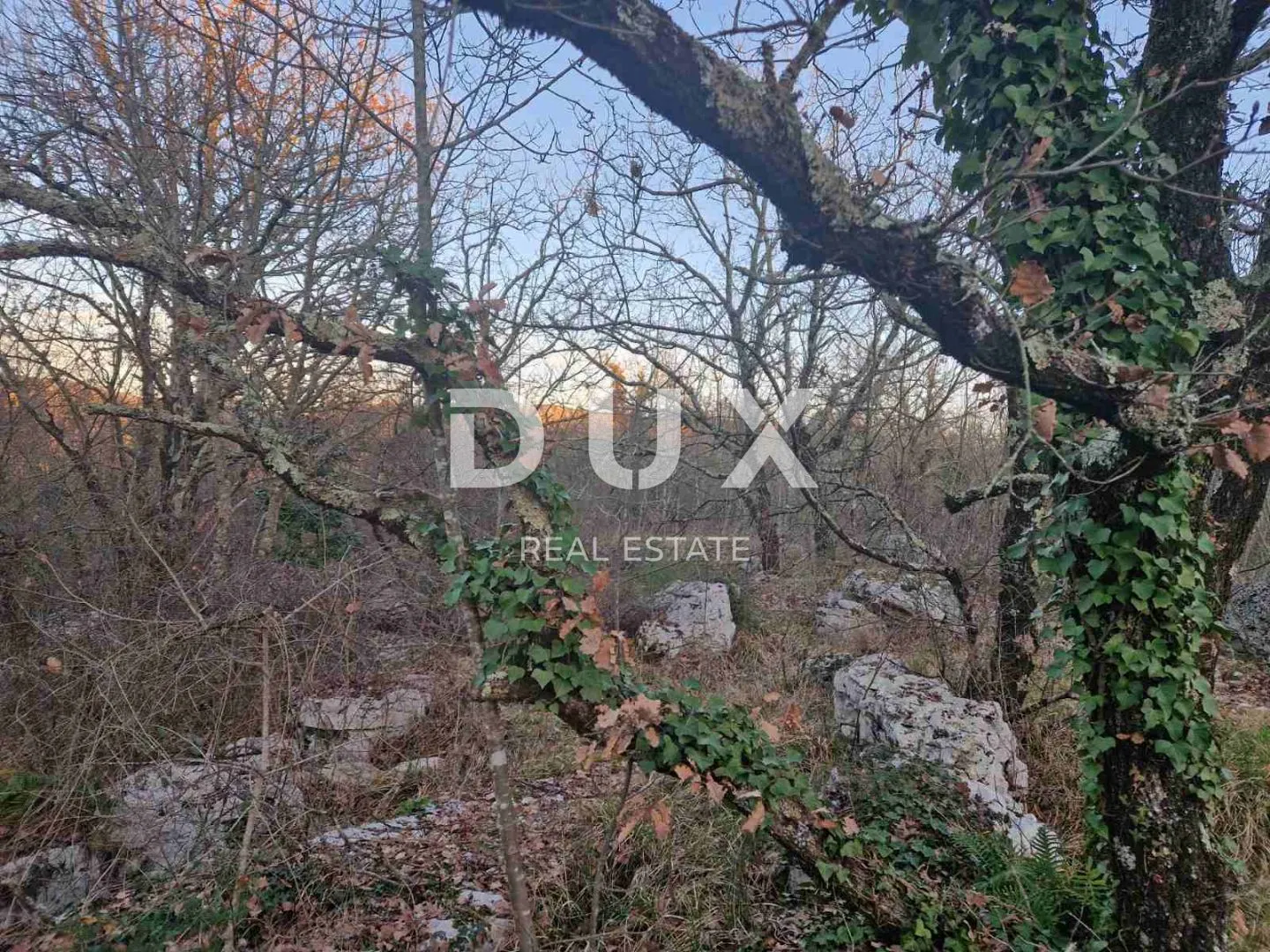 istra, labin - hrastova šuma za siječu 21.304m2, prilika - slika 10