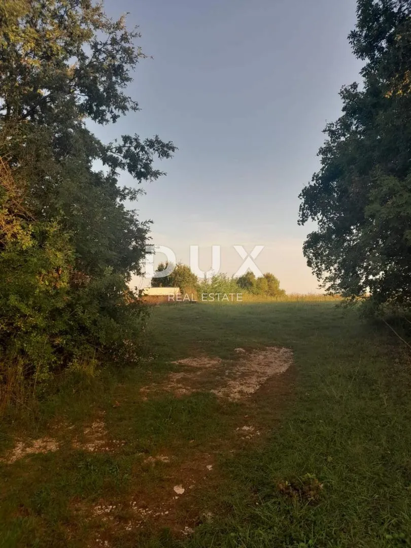 istra, svetvinčenat - posjed u srcu istre! - slika 7