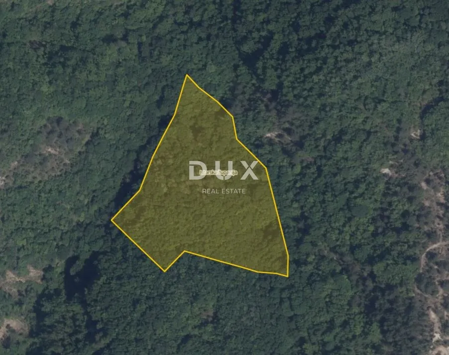 ISTRA, PAZIN, CEROVLJE – Šuma 12.020 m² - Novaki Pazinski, Cerovlje