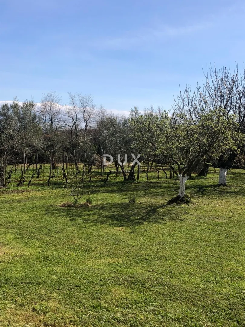 istra, brtonigla, kuća, 181 m², 2.461 m² okućnice - slika 18