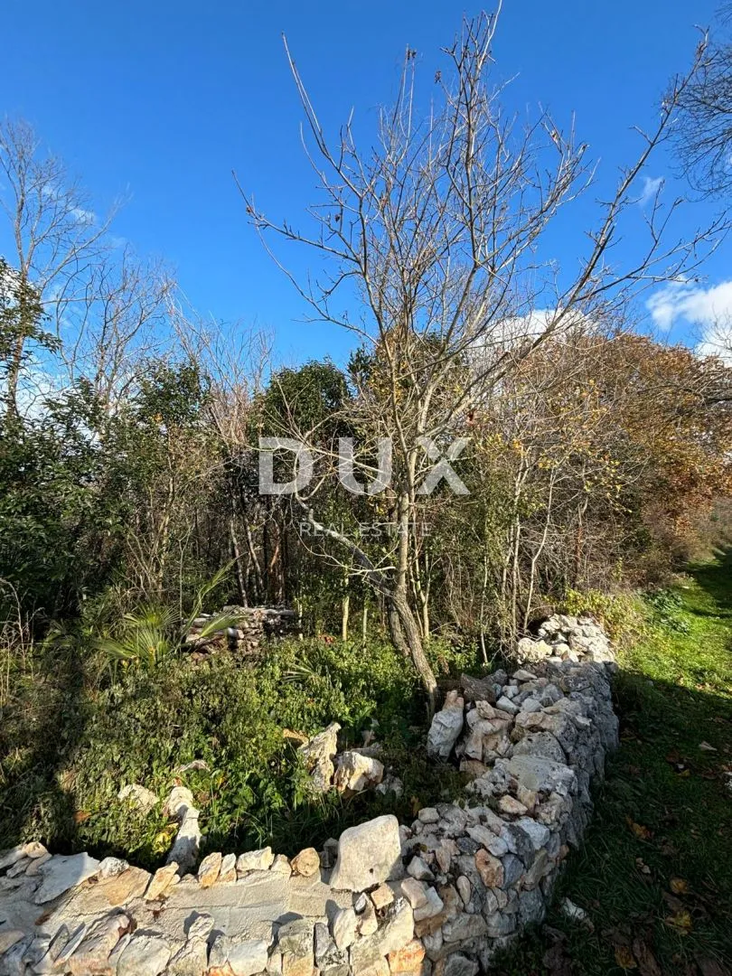 istra, višnjan - kaskadni teren za više vila! - slika 8