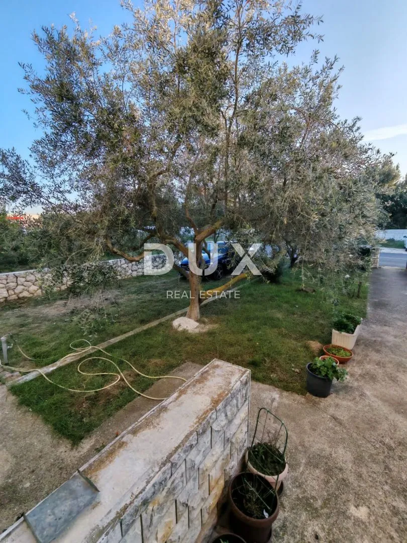 zadar, vrsi - kuća s velikim stanom, tri apartmana i prostranim dvorištem s maslinama! - slika 8