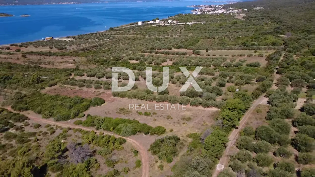 zadar, turanj - maslinik s 55 maslina - 3143m² - slika 9