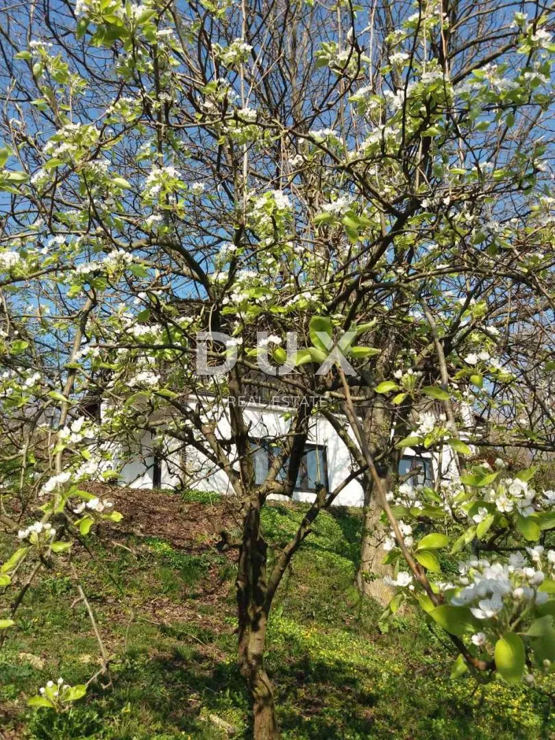 virovitica- kuća sa predivnim pogledom na netaknutu prirodu! - slika 3