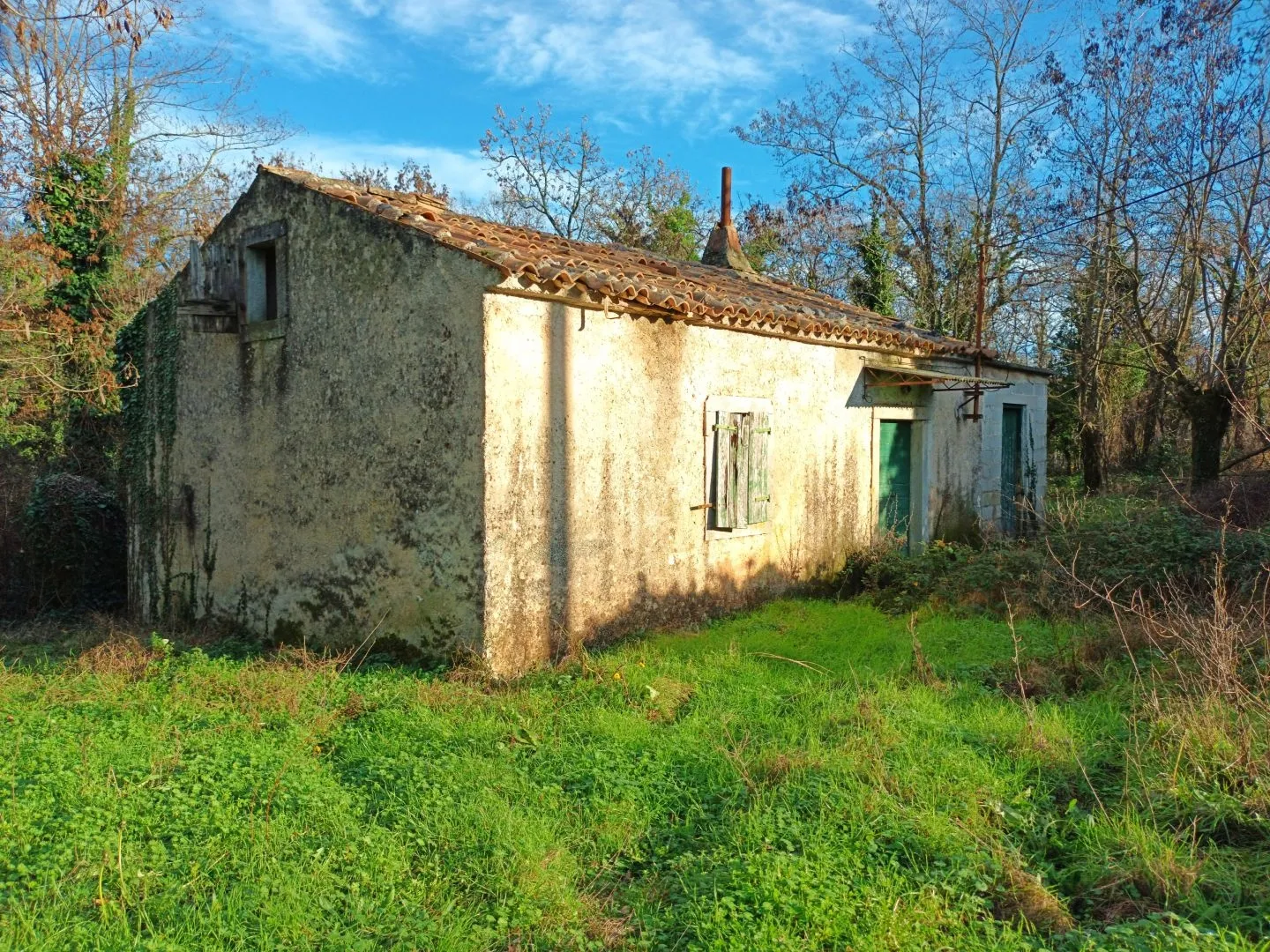 istra, labin - starina za adaptaciju s velikom okućnicom - slika 4