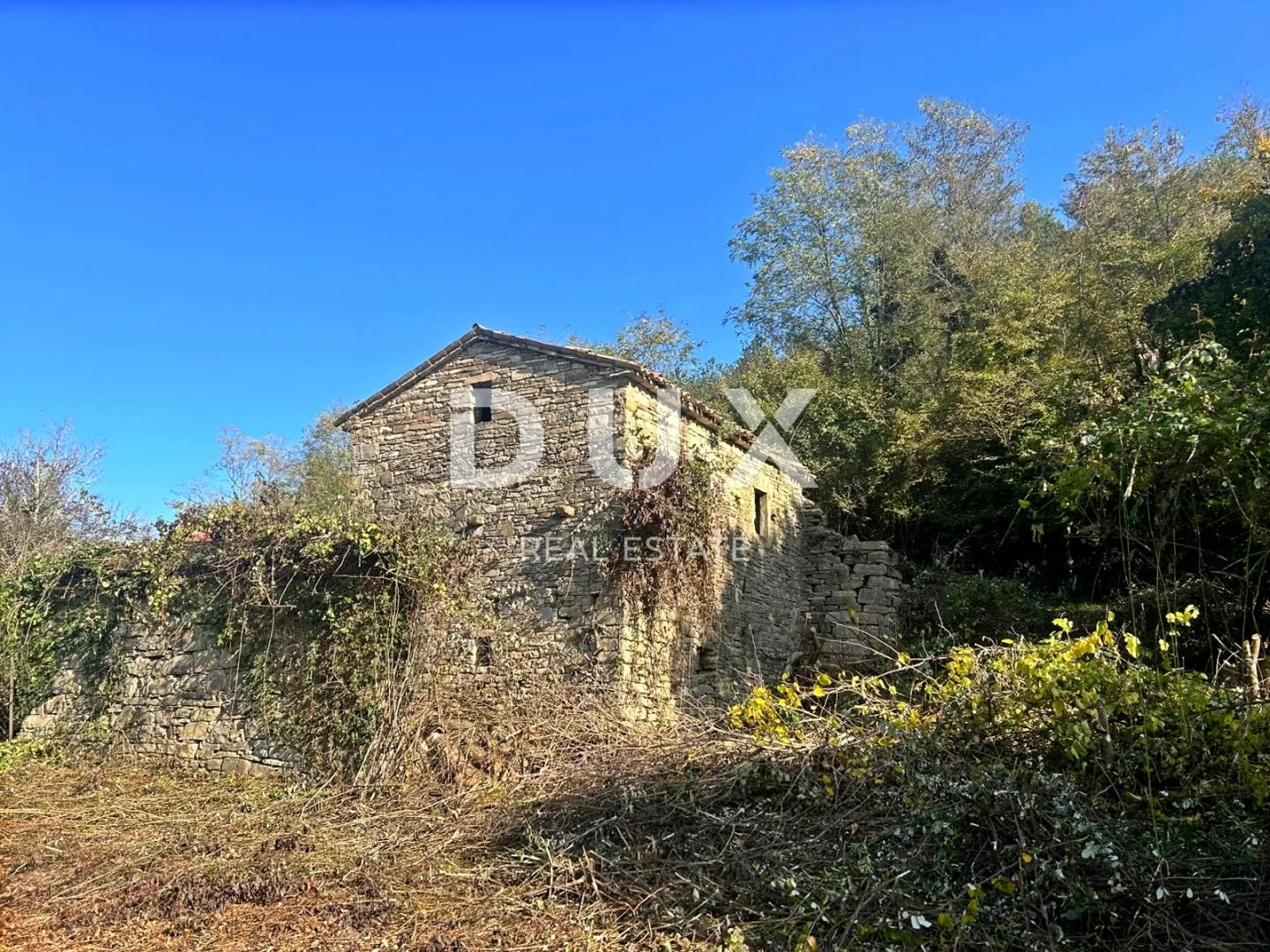 istra, cerovlje - samostojeća ruševna kuća s velikom okućnicom - slika 9