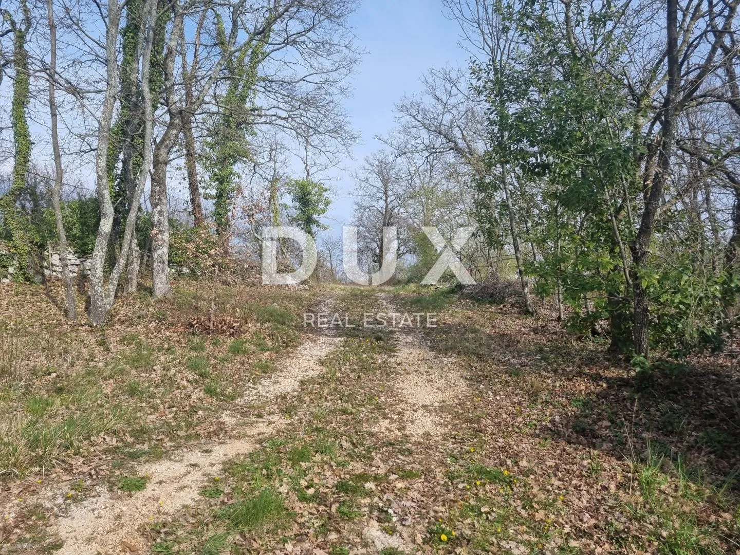 istra, tinjan - kuća sa prostranom okućnicom! - slika 4