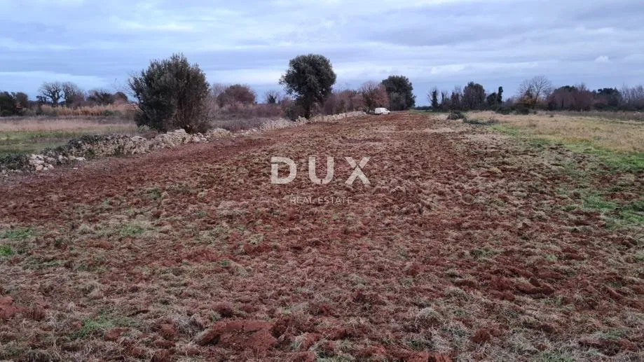 istra, pula - poljoprivredno zemljište 3700 m2 - slika 8
